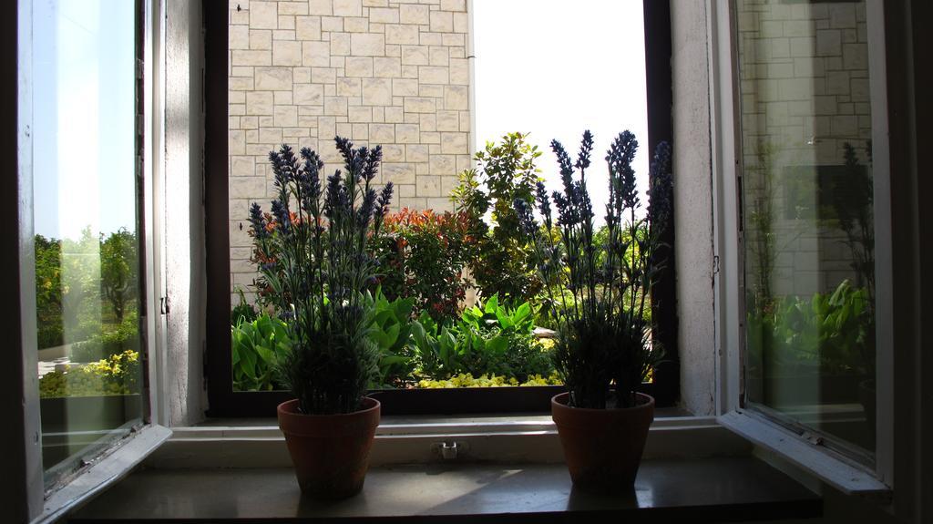 Apartments Dr. Vlasic ポドストラナ エクステリア 写真